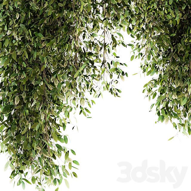 Outdoor Plant Set 96 – Hanging Plants 3DS Max Model - thumbnail 2