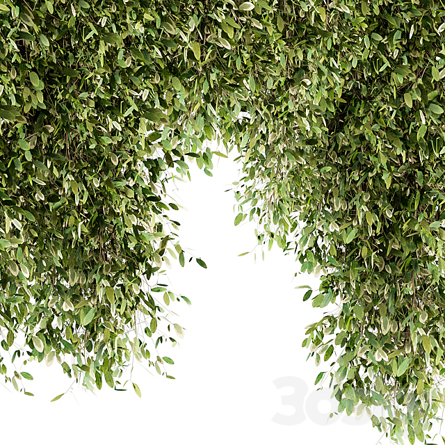 Outdoor Plant Set 96 – Hanging Plants 3DS Max Model - thumbnail 3