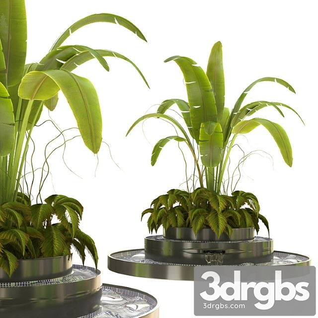 Outdoor Plant Vol 07 3dsmax Download - thumbnail 1