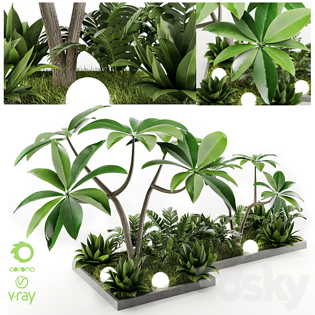 Outdoor Plant Vol1 04 3ds Max - thumbnail 1