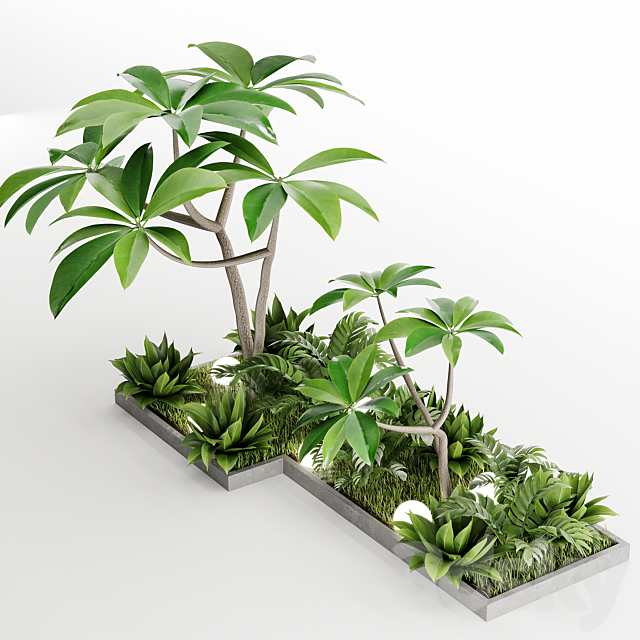 Outdoor Plant Vol1 04 3ds Max - thumbnail 3