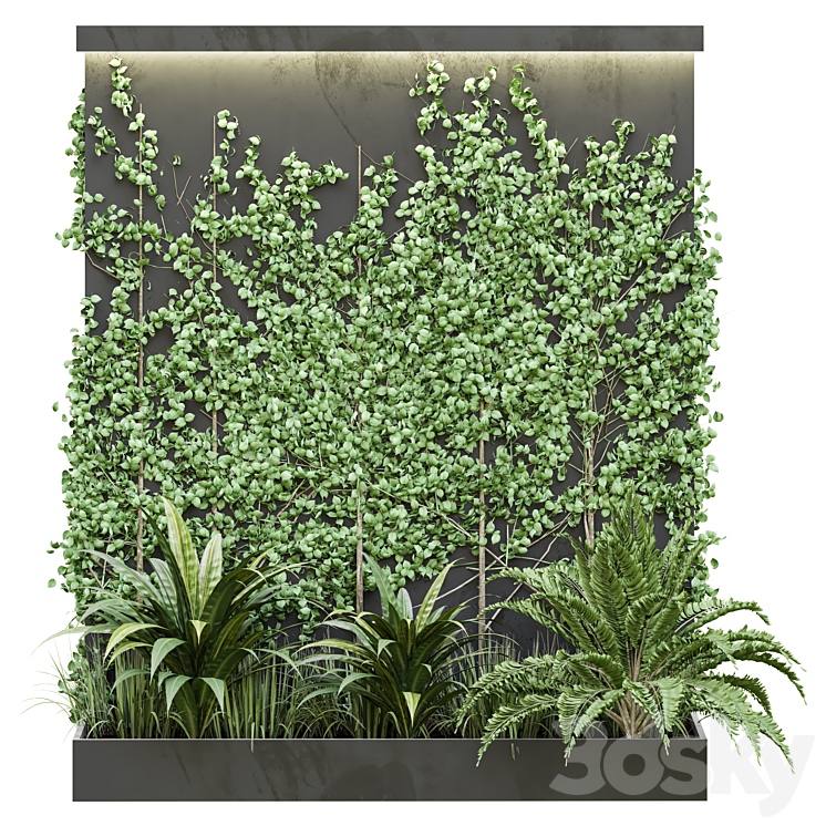 Outdoor Plant Vol38 3DS Max - thumbnail 2