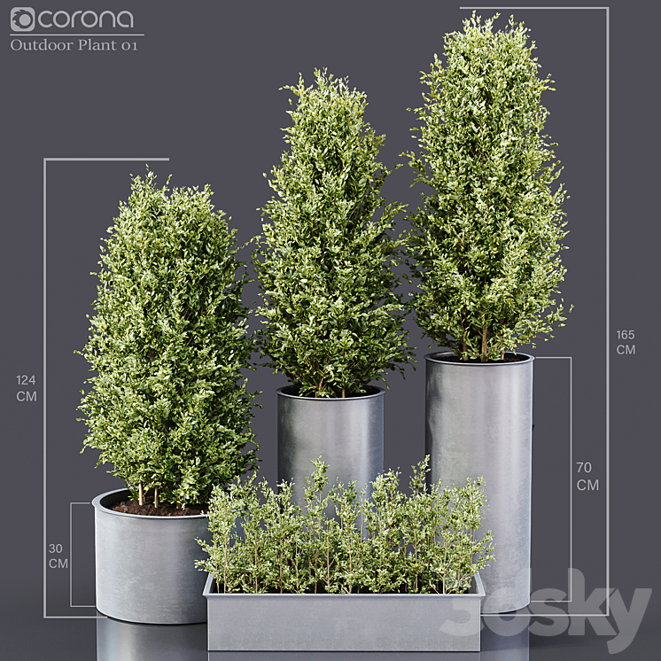 Outdoor Plants 01 3DS Max - thumbnail 1