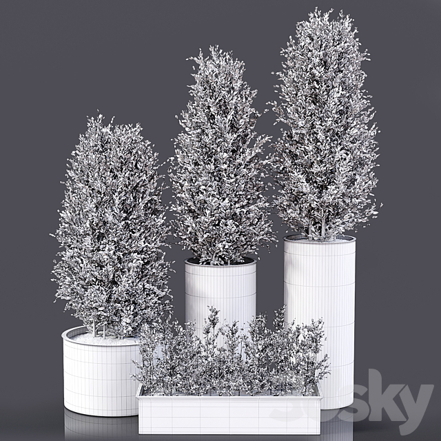 Outdoor Plants 01 3DSMax File - thumbnail 4