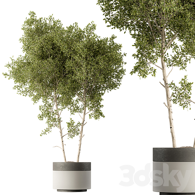 Outdoor Plants 472 – Tree in Pot 3ds Max - thumbnail 1