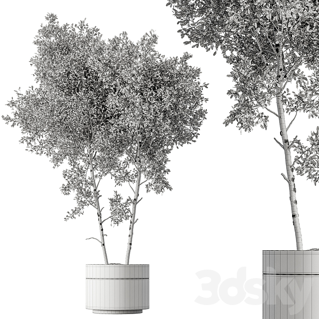 Outdoor Plants 472 – Tree in Pot 3ds Max - thumbnail 3