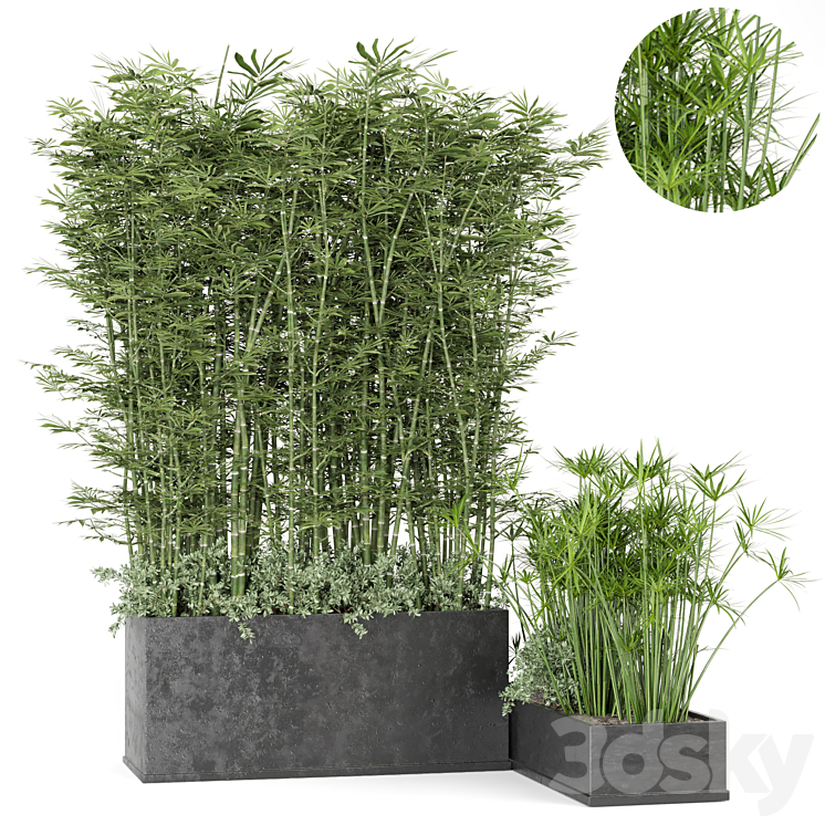 Outdoor Plants Bamboo in rusty Concrete Pot -Set 246 3DS Max Model - thumbnail 3