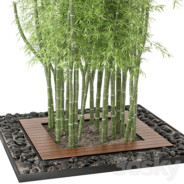 Outdoor Plants Bamboo Set Garden Set 21 3ds Max - thumbnail 2