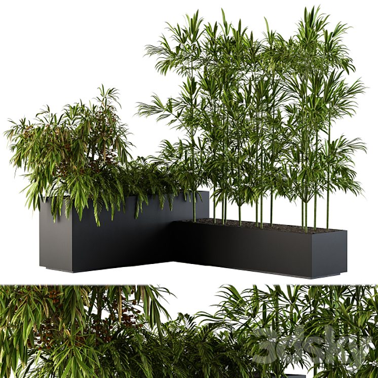 Outdoor Plants Black Plastic Box – Set 73 3DS Max - thumbnail 1