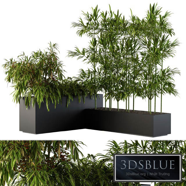 Outdoor Plants Black Plastic Box – Set 73 3DS Max - thumbnail 3