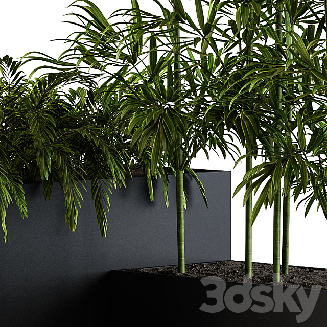 Outdoor Plants Black Plastic Box – Set 73 3DSMax File - thumbnail 3