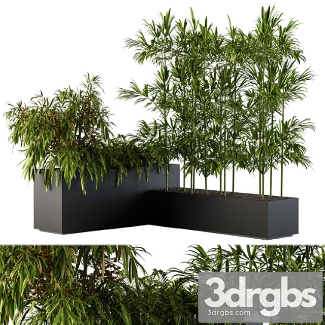 Outdoor plants black plastic box – set 73 - thumbnail 1