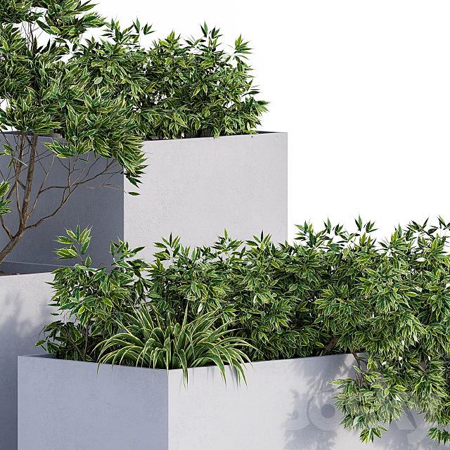 Outdoor Plants Box Concrete 3ds Max - thumbnail 3