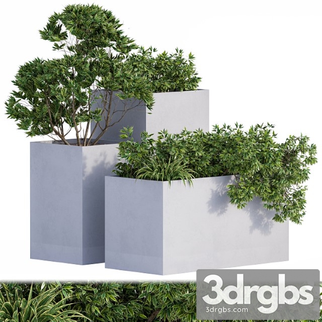 Outdoor plants box concrete - thumbnail 1