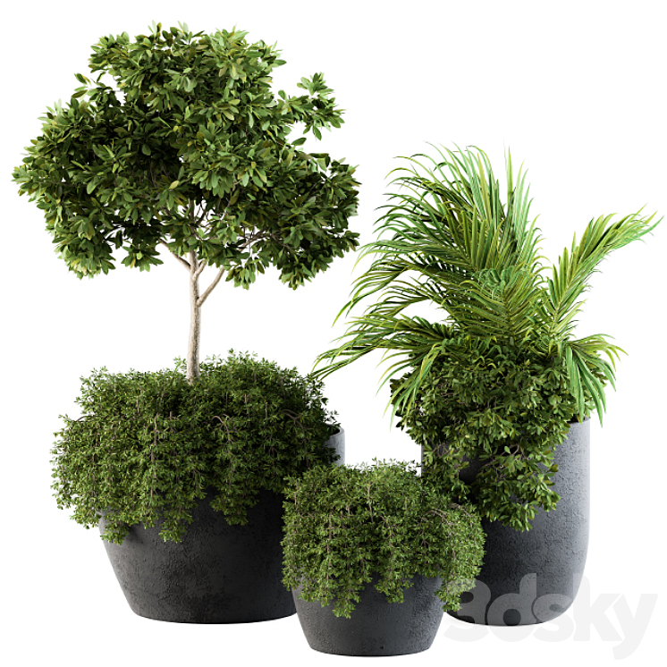 Outdoor Plants Broadleaf – Set 81 3DS Max - thumbnail 1