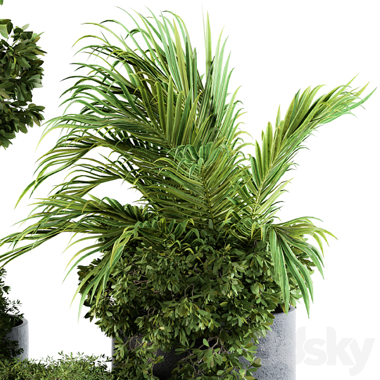 Outdoor Plants Broadleaf – Set 81 3DS Max - thumbnail 2