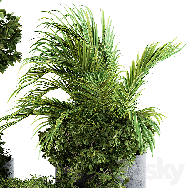 Outdoor Plants Broadleaf – Set 81 3DSMax File - thumbnail 2