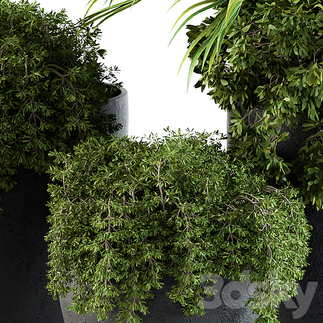 Outdoor Plants Broadleaf – Set 81 3DSMax File - thumbnail 4