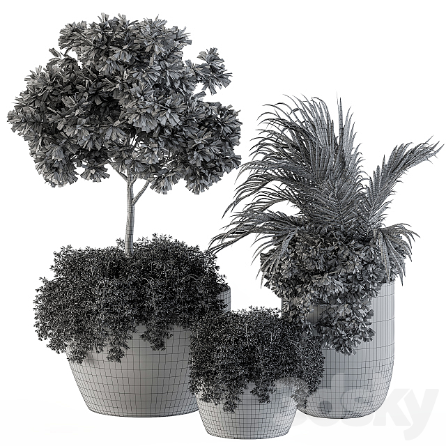 Outdoor Plants Broadleaf – Set 81 3DSMax File - thumbnail 5