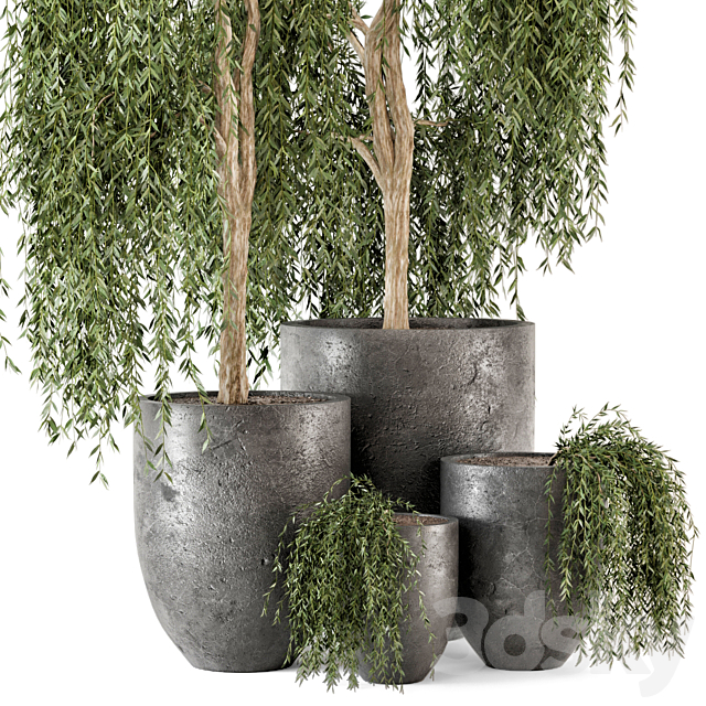 Outdoor Plants bush and Tree in rusty Dark Concrete Pot – Set 52 3DS Max Model - thumbnail 2