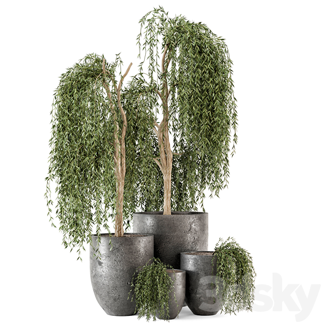 Outdoor Plants bush and Tree in rusty Dark Concrete Pot – Set 52 3DS Max Model - thumbnail 4