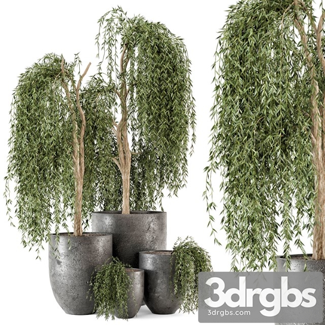 Outdoor Plants Bush And Tree In Rusty Dark Concrete Pot Set 52 3dsmax Download - thumbnail 1