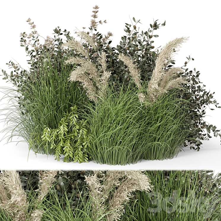 Outdoor Plants Bush-Bush Set 724 3DS Max - thumbnail 1