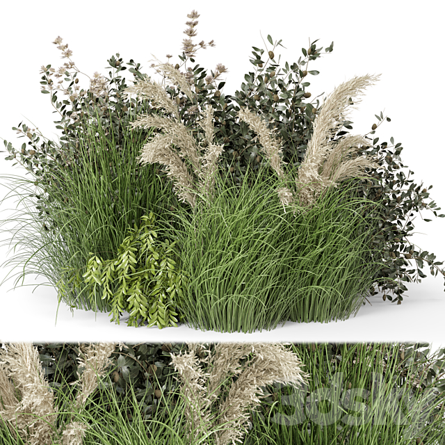 Outdoor Plants Bush-Bush Set 724 3DSMax File - thumbnail 1