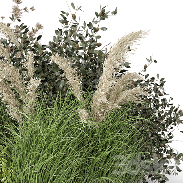 Outdoor Plants Bush-Bush Set 724 3DSMax File - thumbnail 3