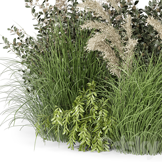 Outdoor Plants Bush-Bush Set 724 3DSMax File - thumbnail 4