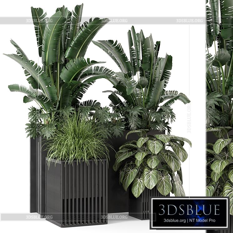 Outdoor Plants Bush in Metal Pot – Set 1074 3DS Max - thumbnail 3