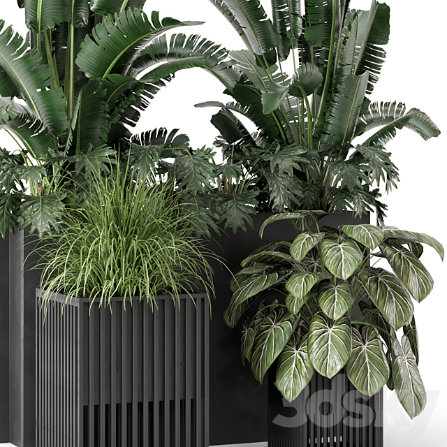 Outdoor Plants Bush in Metal Pot – Set 1074 3DS Max Model - thumbnail 5