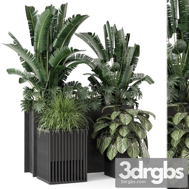 Outdoor Plants Bush in Metal Pot Set 1074 3dsmax Download - thumbnail 1