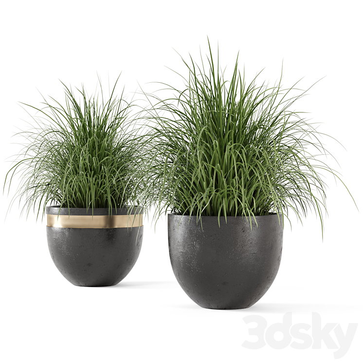 Outdoor Plants Bush in rusty Concrete Pot – Set 186 3DS Max - thumbnail 2