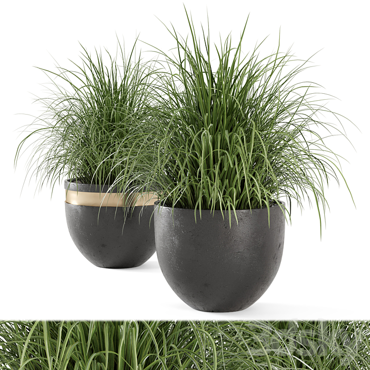 Outdoor Plants Bush in rusty Concrete Pot – Set 186 3DS Max - thumbnail 1