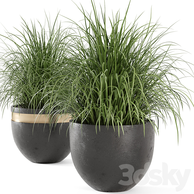 Outdoor Plants Bush in rusty Concrete Pot – Set 186 3DSMax File - thumbnail 5