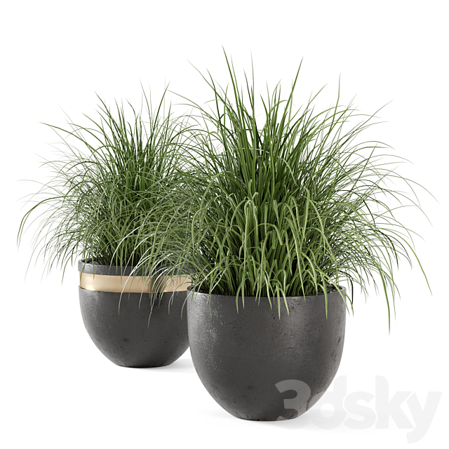 Outdoor Plants Bush in rusty Concrete Pot – Set 186 3DSMax File - thumbnail 6