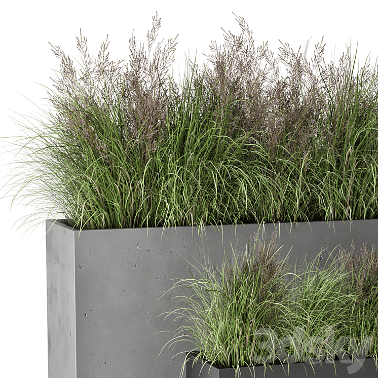 Outdoor Plants Bush in rusty Concrete Pot – Set 565 3DS Max - thumbnail 2