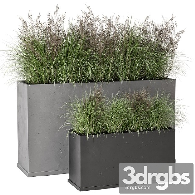 Outdoor Plants Bush in Rusty Concrete Pot Set 565 3dsmax Download - thumbnail 1