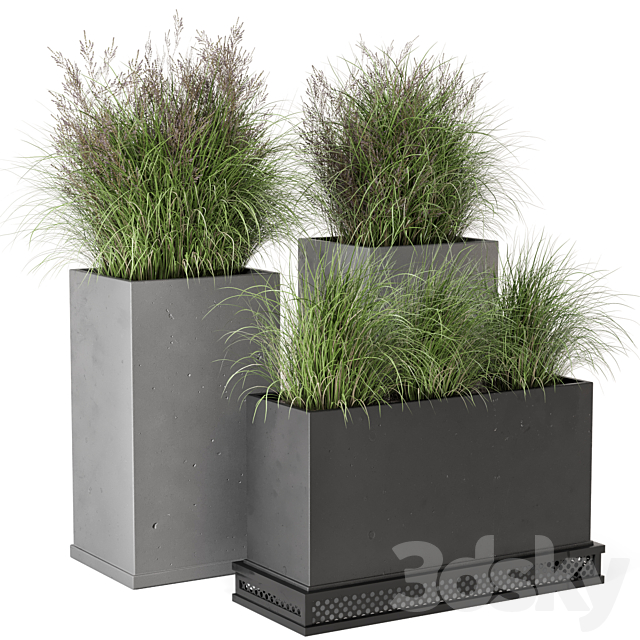 Outdoor Plants Bush in rusty Concrete Pot – Set 665 3DSMax File - thumbnail 1