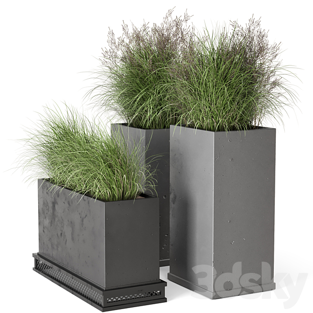 Outdoor Plants Bush in rusty Concrete Pot – Set 665 3DSMax File - thumbnail 2