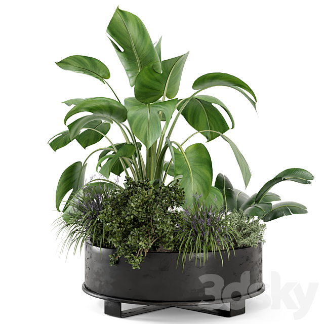 Outdoor Plants Bush in rusty Metal Pot – Set 222 3DSMax File - thumbnail 5