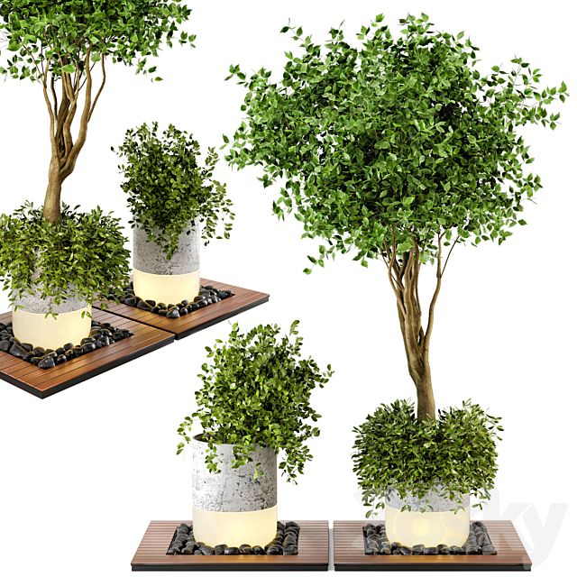 Outdoor Plants bush & Tree Combination of wood & concrete Pot – Garden Set 45 3DS Max Model - thumbnail 2