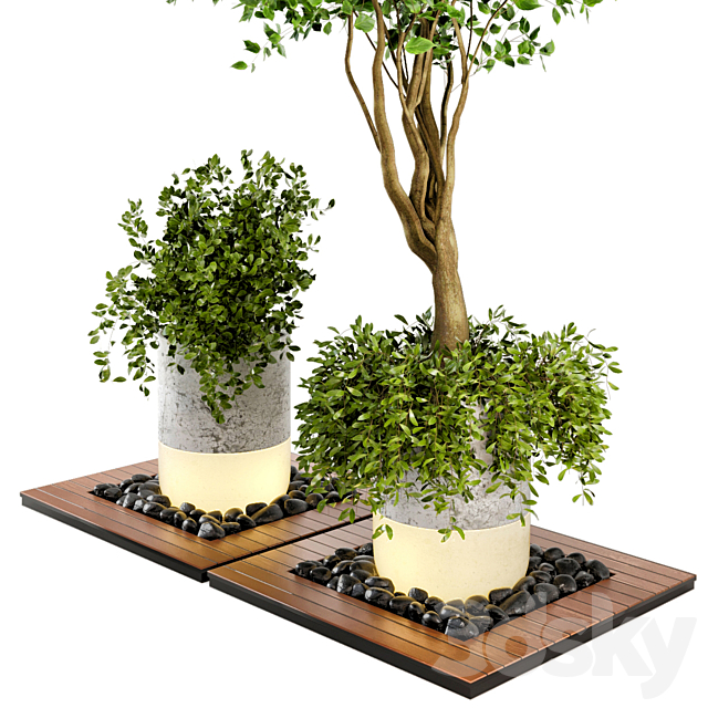 Outdoor Plants bush & Tree Combination of wood & concrete Pot – Garden Set 45 3DS Max Model - thumbnail 3