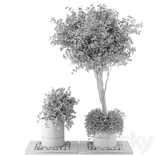 Outdoor Plants bush & Tree Combination of wood & concrete Pot – Garden Set 45 3DS Max Model - thumbnail 5