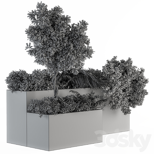 outdoor Plants Concrete Box – Set 45 3DS Max Model - thumbnail 4