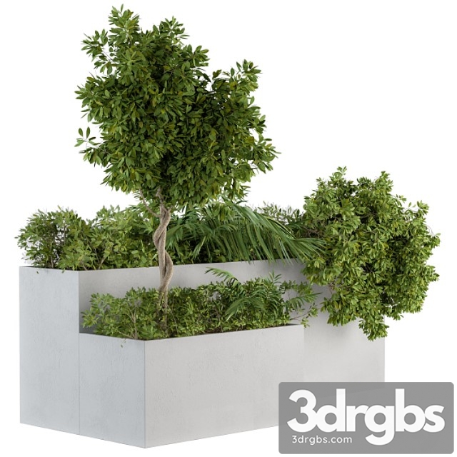 Outdoor Plants Concrete Box Set 45 3dsmax Download - thumbnail 1