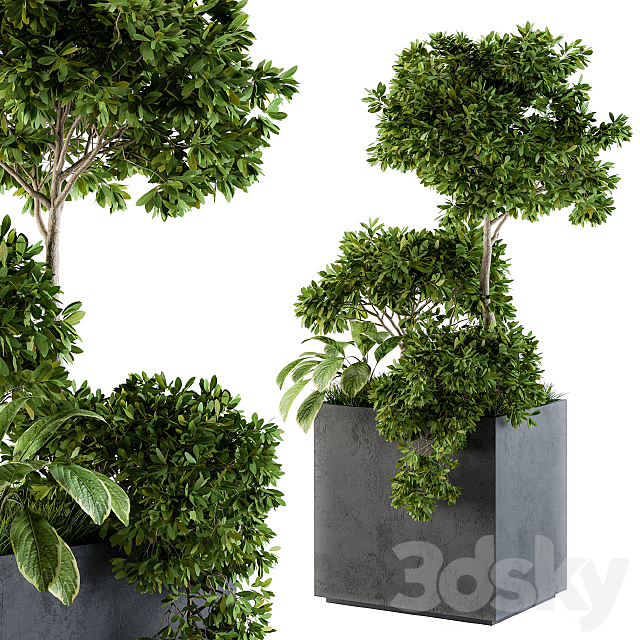 Outdoor Plants Concrete Box – Set 58 3ds Max - thumbnail 1