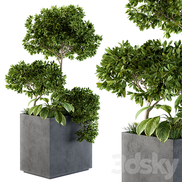 Outdoor Plants Concrete Box – Set 58 3ds Max - thumbnail 2