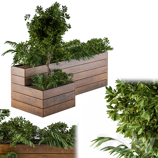 outdoor-plants Flower Box 3DS Max Model - thumbnail 2